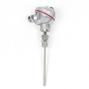 RTD PT100 Temperature Sensor 4